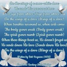 On The Wings Of A Snow White Dove White Doves Body Grow Love Is Sweet