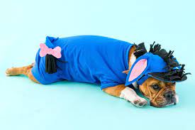 Five Diy Dog Costumes To Dress Up Bae This Halloween Dog Halloween Costumes Best Dog Halloween Costumes Dog Halloween Costumes Diy