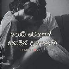 We did not find results for: 42 True Love Sinhala Love Quotes For Girlfriend Spirit Quote