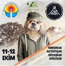 pet fest oteller
