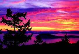 We did not find results for: Aesthetic Sky Nature Sunset Image Best Free Pics