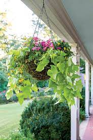 Start date may 1, 2012. Hang Your Container Garden This Season Southern Living