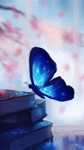 Colorful Dreams Pretty Wallpapers Butterfly Wallpaper Beautiful Wallpapers