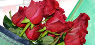Estamos ubicados al norte de ecuador en el sector de cayambe. Rosen Aus Ecuador Tonnen Von Blumen Zum Valentinstag Latinapress Nachrichten