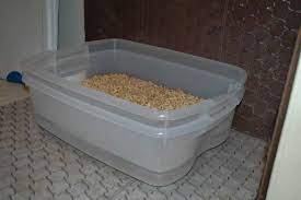 Covered sifting litter box sized to accommodate a large cat? I Ve Been Using 18 Gallon Sterilite Totes For Litterboxes To Accommodate Our Biggest Cat Who Litter Box Litter Cat Litter Box Diy