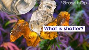 Aug 27, 2019 · typically, a high lasts from 30 minutes to two hours if you use cannabis concentrates. Cannabis 101 How Long Will You Be This High The Growthop