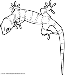 38+ leopard gecko coloring pages for printing and coloring. Gecko Coloring Page Audio Stories For Kids Free Coloring Pages Colouring Printables