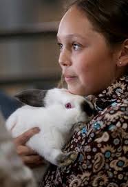 Jasper County Junior Livestock Show