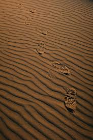 Here are only the best light brown wallpapers. Free Stock Images With The Color Brown A0522d Pexels