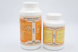 Gentamicin is an antibiotic complex consisting of four major (c1, c1a, c2, and c2a) and several minor components. Gentamicin 20 Uvedco
