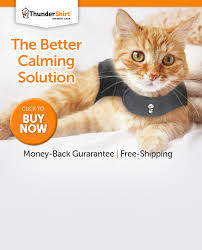 Cat Anxiety Vest Shop Cat Anxiety Treatments Thunderworks