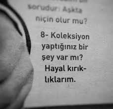 Hayal Kirikligi Koleksiyoncusu Alintilar Kitap Alintilari Kitap