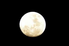 Throughout the year, the park will offer various opportunities for amateur astronomers to gather and learn more about night sky phenomena. Moon Full Moon Night Moon By Night Sky Night Sky Black Background Sky And Moon Black Bella Pikist