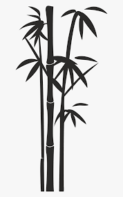 Bamboo Png Bamboo Png Black And White Flower Drawing Design Abstract Flower Painting Black And White Drawing
