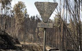 Check spelling or type a new query. Pedrogao Grande Violento Incendio Que Matou 66 Pessoas Aconteceu Ha 4 Anos Fotos Vip Pt