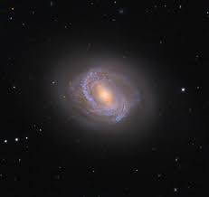 The image was captured by hubble as part of a survey of 145 they consist of a flat rotating disk, with a concentration of stars in the center of the disk forming an area called the bulge. Barred Spiral Galaxy Archives Universe Today