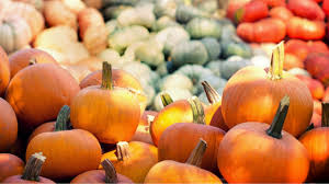 Ein kürbis ist immer dann reif, wenn er eine satte farbe hat und keine grünen stellen mehr zu sehen sind. Kurbiszeit Wann Hat Eigentlich Kurbis Saison Beste Zeit Fur Kurbisse