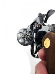 Image result for Silver 1976 Colt