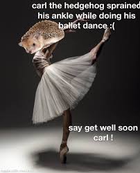 Pin On Carl