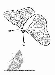 Schmetterling Vorlage Zum Ausdrucken Bilder 29