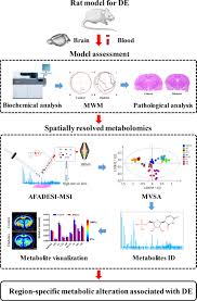 Spatially Resolved Metabolomics Based on Air-Flow-Assisted Desorption  Electrospray Ionization–Mass Spectrometry Imaging Reveals Region-Specific  Metabolic Alterations in Diabetic Encephalopathy | Journal of Proteome  Research