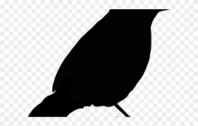 silhouette clipart parrot black bird clip art png download 1677621 pinclipart silhouette clipart parrot black bird