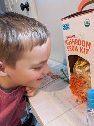 Robyn Fleming (@Robyn_Writing)