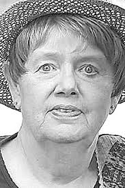 County Board Holds Solar Project Hearing