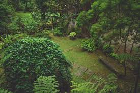 Shop with afterpay on eligible items. Dusun Garden Fairies Photos Facebook