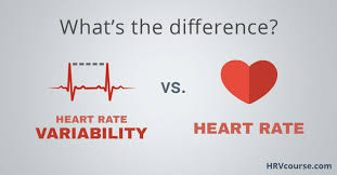 Heart Rate Variability Vs Heart Rate