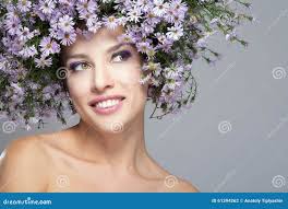 15,892 Purple Daisies Stock Photos