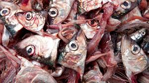 Last medically reviewed on september 29, 2020 medically reviewed by alana biggers, m.d., mph — written by ann pietrangelo on. Long Covid Symptoms May Include Parosmia As People Report Disgusting Smells Of Fish Burning And Sulphur Uk News Sky News