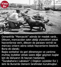Havva Bagci Adli Kullanicinin Osmanli Panosundaki Pin Tarih Gercekler Askeri Tarih