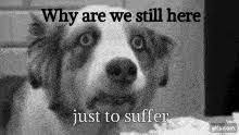 Why Are We Still Here Just To Suffer Every Night Full Quote Meme Scj
