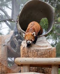 Lincoln Children's Zoo