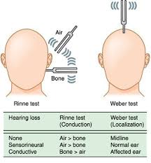 rinne test google search aprn nursing assessment