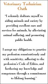 Let's take a moment of appreciation for all the little things our vet. Vet Tech Oath I Love Being A Vet Tech I Love What I Do I Also Love Where I Work And All The People That I With Images Vet