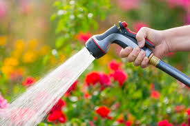 May 23, 2019 · your lawn still needs water in autumn, even though the leaves are changing, the growing season is winding down and your grass isn't growing as fast. How To Water Your Lawn Plants Effectively Diy True Value Projects True Value