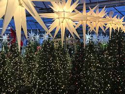 Maybe you would like to learn more about one of these? Outdoor Christmas Decorating Ideas Stauffers