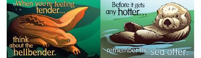 Image result for endangered animal conservation sign