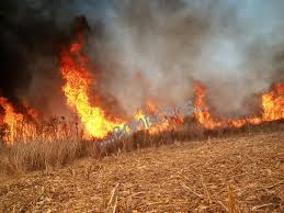 Ocurrió al propagarse un incendio de una bodega contigua del gobierno del estado de sonora, siendo gobernador del estado eduardo bours castelo y la presidencia de felipe calderón. El Dia De Hoy Acude La Motobomba M 10 A Incendio De Pastizal Detras De La Universidad H Cuerpo De Bomberos Voluntarios De Valle De Santiago Gto Ac Facebook