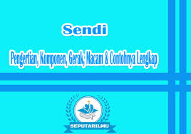 Macam Macam Sendi Pengertian Komponen Gerak Contohnya