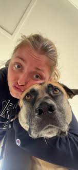 Dogs for Adoption in Kimberly, Idaho