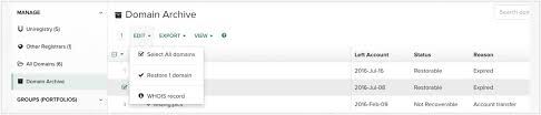 How Do I Renew Restore My Domain After It S Expired