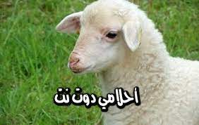 9 ما تفسير شراء كبش في المنام؟. ØªÙØ³ÙŠØ± Ø±Ø¤ÙŠØ© Ø§Ù„ÙƒØ¨Ø´ ÙÙŠ Ø§Ù„Ù…Ù†Ø§Ù… Ù„Ù„Ø¹Ø²Ø¨Ø§Ø¡ ÙˆØ§Ù„Ø­Ø§Ù…Ù„ ÙˆØ§Ù„Ù…ØªØ²ÙˆØ¬Ø© ØªÙØ³ÙŠØ± Ø­Ù„Ù… Ø§Ù„ÙƒØ¨Ø´ Ø§Ù„Ø³Ù…ÙŠÙ† ÙˆØ§Ù„Ù†Ø­ÙŠÙ ÙÙŠ Ø§Ù„Ù…Ù†Ø§Ù…