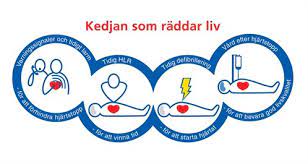 Vid plötsligt hjärtstopp hamnar hjärtat oftast i ett kammakarflimmer (ventrikelflimmer). Hjartstopp Vad Ar Plotsligt Hjartstopp Servicia Medical