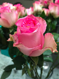 A good morning message is not just a phrase; Iamartisticallysocial Hashtag On Twitter