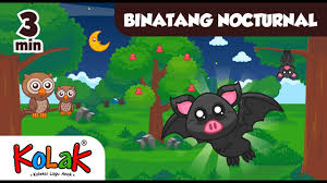 Gambar mewarnai untuk anak tk pdf b warna. Lagu Anak Indonesia Binatang Nocturnal Tk Dan Paud Youtube