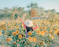 Selain memiliki warna yang cerah dan indah, bentuknya juga berbeda dari bunga pada biasanya. Instagramble Ini 6 Pesona Wisata Kebun Bunga Matahari Bantul Bapermulu Com