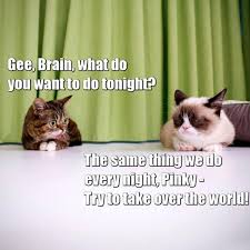Pinky & the brain's theme song told us exactly what to expect in every episode. Pinky And The Brain Quote Grumpy Cat Know Your Meme